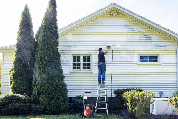 Best Driveway Pressure Washing  in Speer, NC